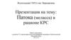 Патока (меласса) в рационе КРС