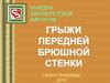 Грыжи передней брюшной стенки