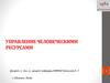 Управление человеческими ресурсами. Специфика деятельности менеджера