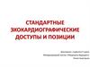 Стандартные эхокардиографические доступы и позиции