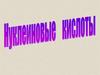 Нуклеиновые кислоты (ДНК, РНК)
