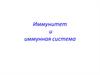 Иммунитет и иммунная система