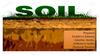 Soil. Types of soils of Kazakhstan