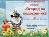 Экологический проект «Огород на подоконнике»  для детей 1.5-3 года