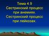 Сестринская помощь при анемиях и лейкозах