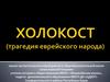 Холокост (трагедия еврейского народа)