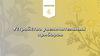 Устройство увеличительных приборов. 6 класс