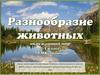 Разнообразие животных