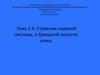 Строение нервной системы, брюшной полости и кожи. (Тема 2.4)