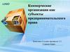 Коммерческие организации как субъекты предпринимательского права
