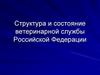Структура и состояние ветеринарной службы Российской Федерации