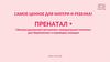 Сбалансированный витаминно-минеральный комплекс для беременных и кормящих женщин ПРЕНАТАЛ +