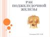Рак поджелудочной железы