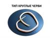 Тип Круглые черви