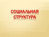 Социальная структура. Социальный статус