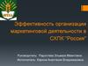Эффективность организации маркетинговой деятельности в СХПК "Россия"