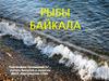 Рыбы Байкала