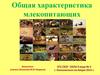 Общая характеристика млекопитающих