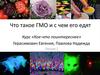Что такое ГМО и с чем его едят