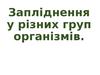 Запліднення у різних груп організмів