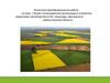 Проект почвозащитной организации и устройства территории севооборотов в СХА «Авангард» Щигровского района Курской области