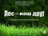 Лес наш друг. Викторина