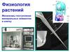 Физиология растений. Механизмы поступления минеральных элементов в клетку