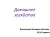 Домашнее хозяйство