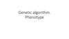 Genetic algorithm. Phenotype