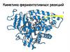 Кинетика. Ингибирование ферментов. Обмен веществ. Тема 3
