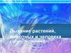Дыхание растений, животных и человека учитель