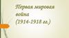 Первая мировая война (1914-1918 годы)