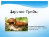 Царство грибы