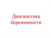 Диагностика беременности у животных