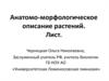 Анатомо-морфологическое описание растений. Лист