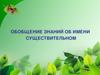 Имя существительное. Обобщение знаний