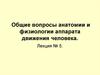 Общие вопросы анатомии и физиологии аппарата движения человека. Лекция № 5