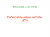 Рибонуклеиновые кислоты АТФ. Химический состав клетки. Рибонуклеиновые кислоты