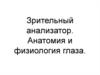 Зрительный анализатор. Анатомия и физиология глаза