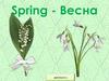 Spring