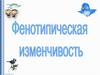 Фенотипическая изменчивость
