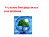 Что такое биосфера и как она устроена