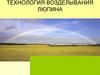 Технология возделывания люпина
