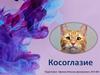 Косоглазие. Глазодвигательный аппарат