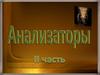 Анализаторы