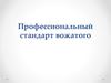 Профеccиональный стандарт вожатого