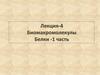 Биомакромолекулы. Белки - 1 часть