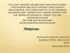 Неврозы