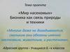 Мир насекомых. Бионика, как связь природы и техники