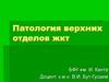 Патология верхних отделов жкт